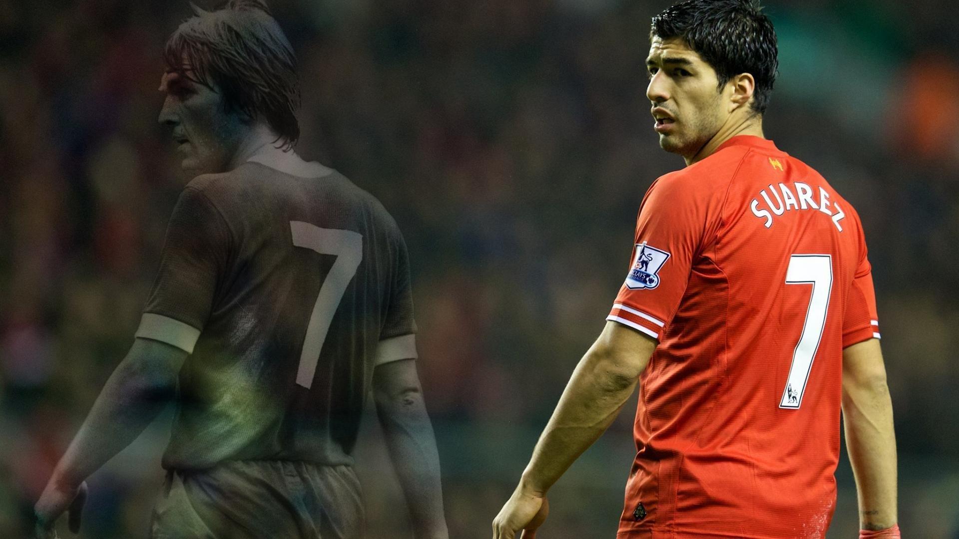 金州勇士本周试训多位经验丰富球员 麦克勒莫与法里埃德在列